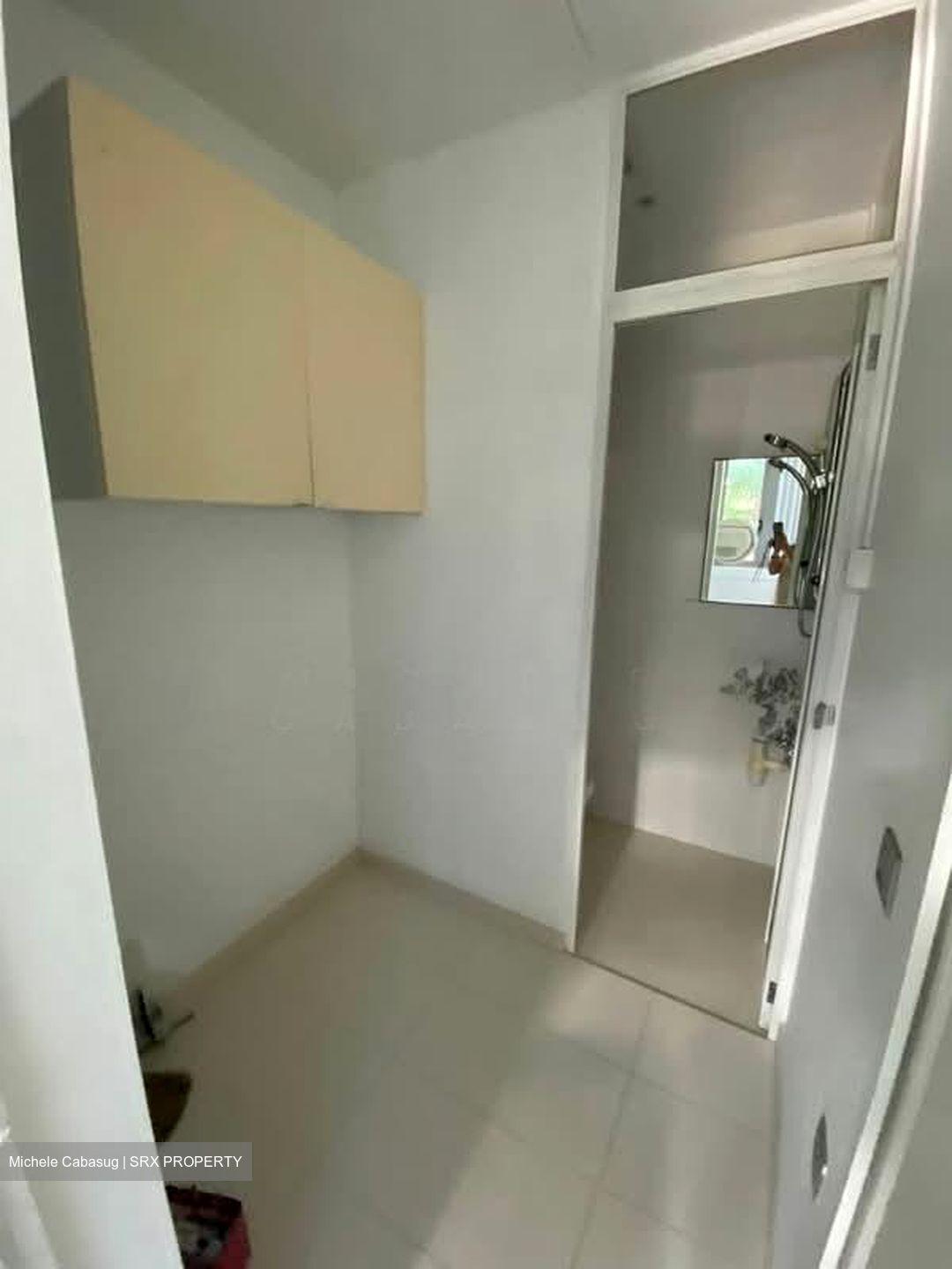 Marina Collection (D4), Condominium #588404861
